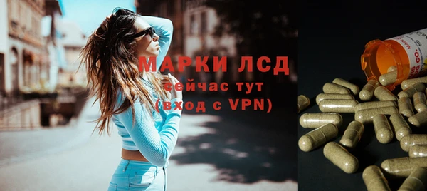 ПСИЛОЦИБИНОВЫЕ ГРИБЫ Алзамай