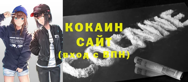 ПСИЛОЦИБИНОВЫЕ ГРИБЫ Алзамай