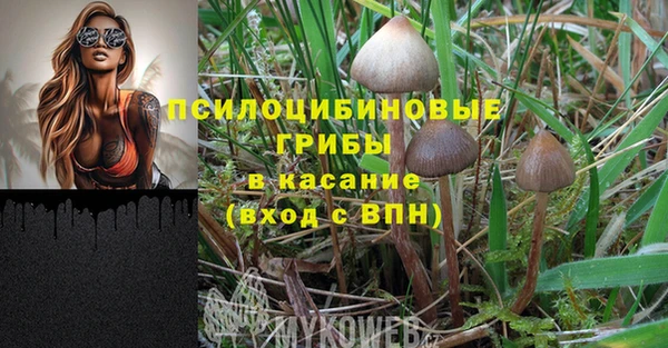 кокс Алексеевка