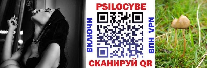 закладки  Динская  Галлюциногенные грибы GOLDEN TEACHER 